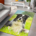 Border Collie Black