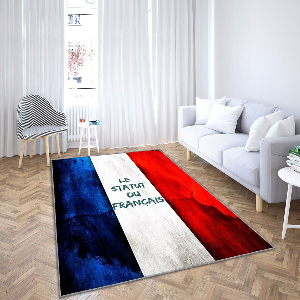 Le Statut Du France