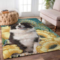 Border Collie Dog